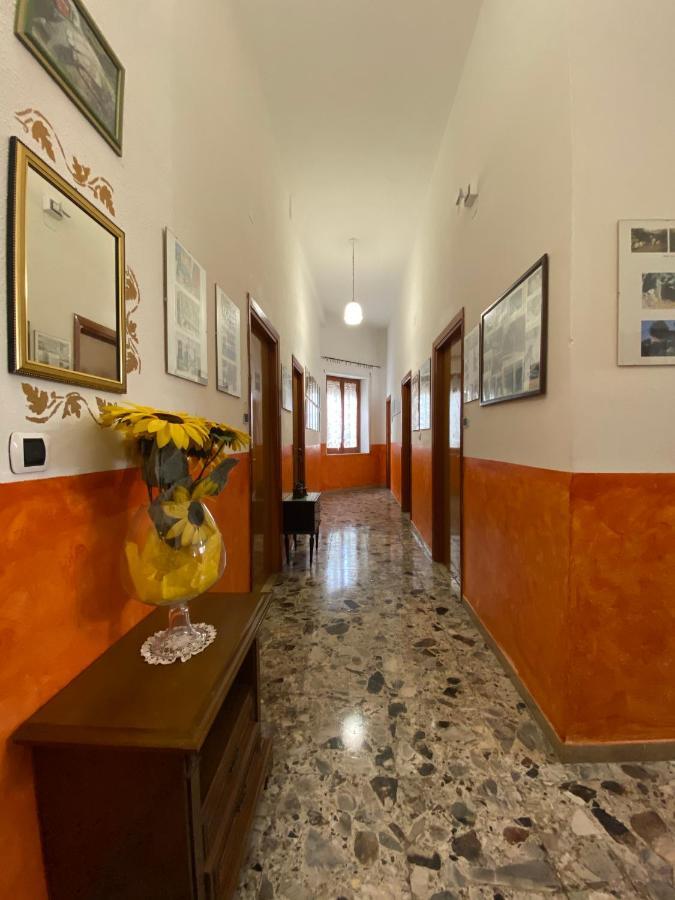 Bed And Breakfast Da Antonio - オルゴーゾロ エクステリア 写真