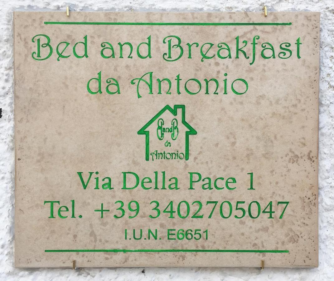 Bed And Breakfast Da Antonio - オルゴーゾロ エクステリア 写真