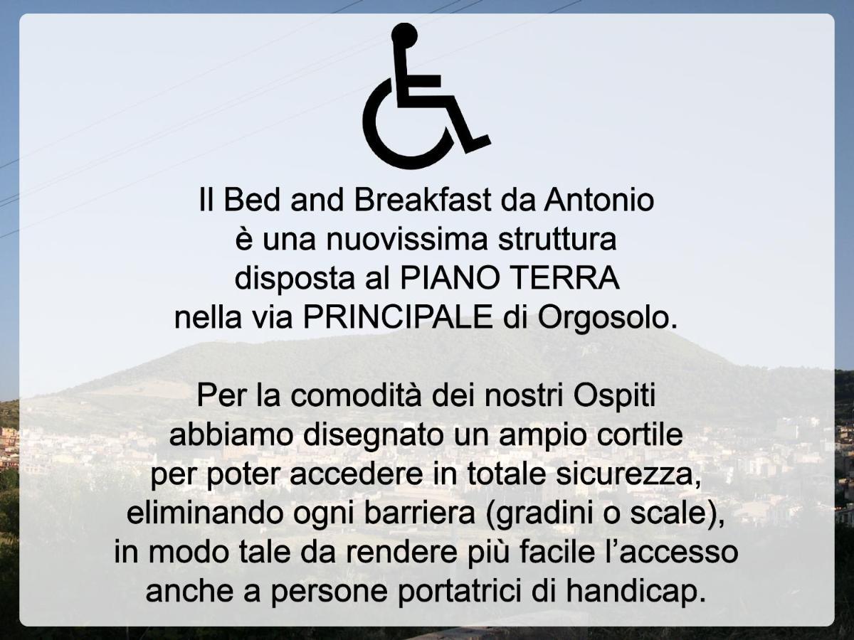 Bed And Breakfast Da Antonio - オルゴーゾロ エクステリア 写真