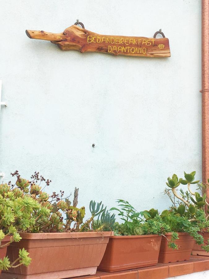 Bed And Breakfast Da Antonio - オルゴーゾロ エクステリア 写真