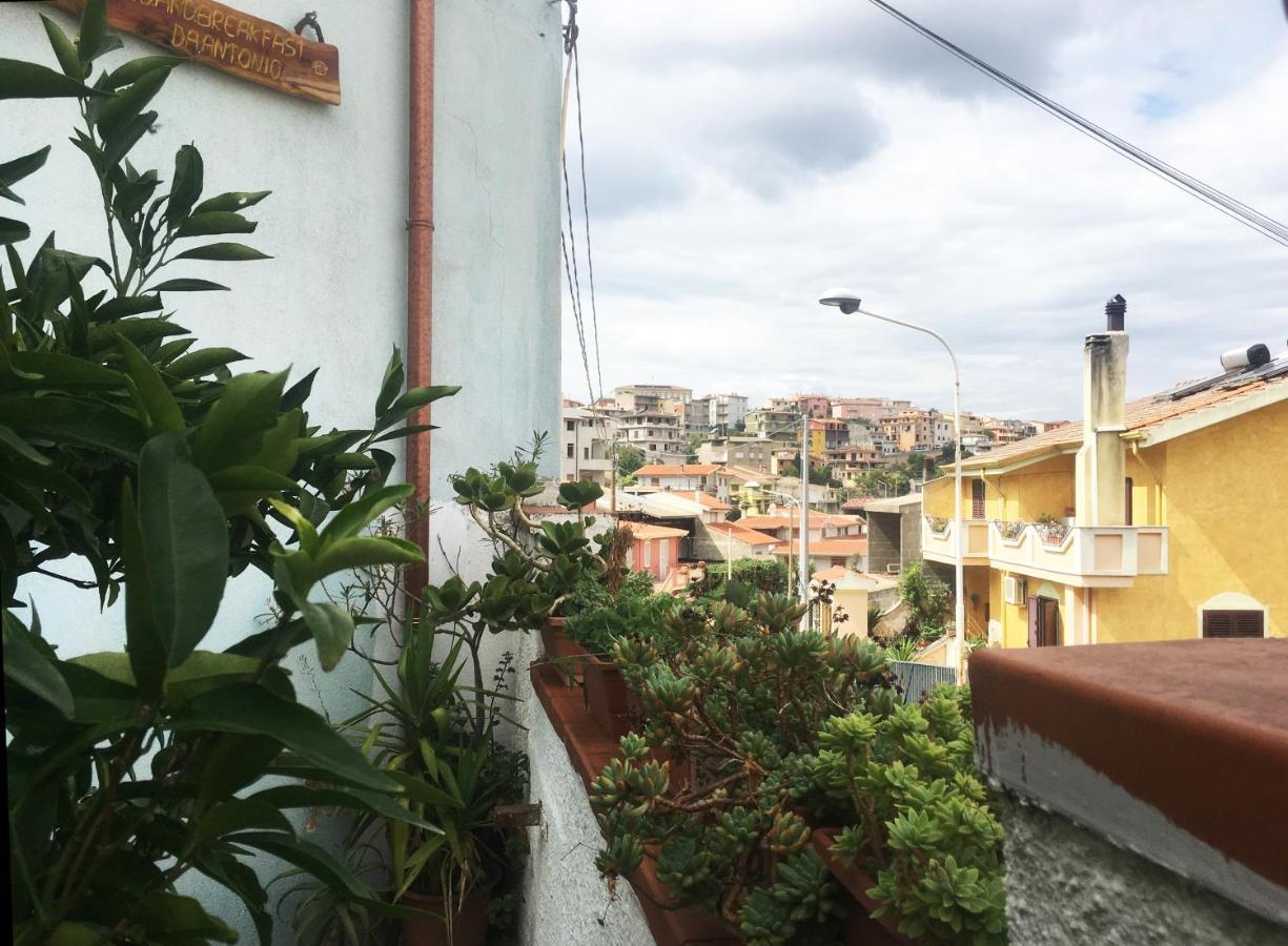 Bed And Breakfast Da Antonio - オルゴーゾロ エクステリア 写真