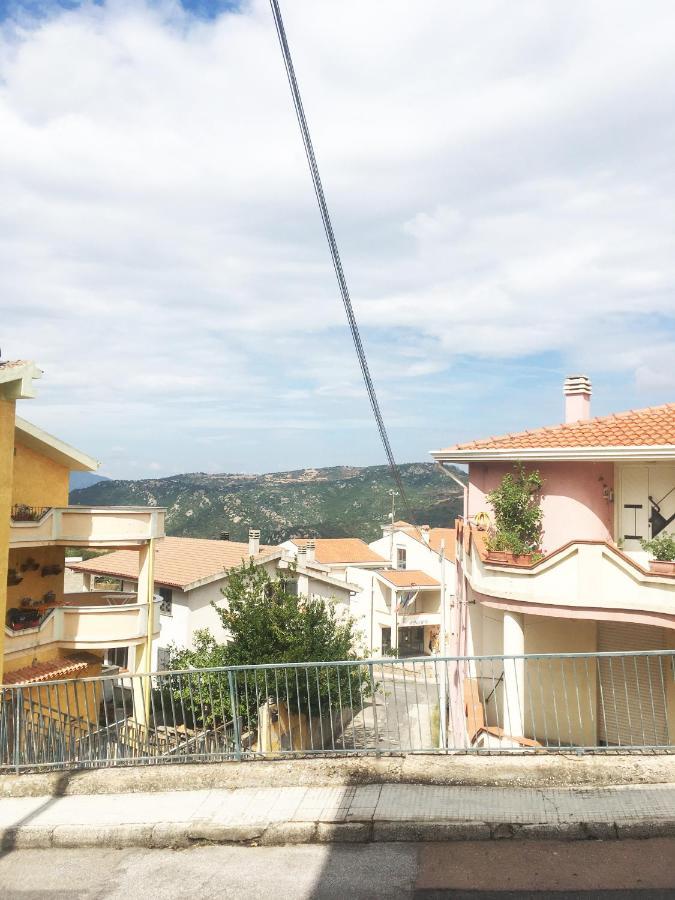 Bed And Breakfast Da Antonio - オルゴーゾロ エクステリア 写真